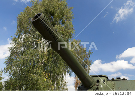 old cannon barrel 26512584