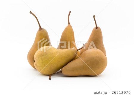 洋梨（品種：ボスク）：Bosc Pear 26512976
