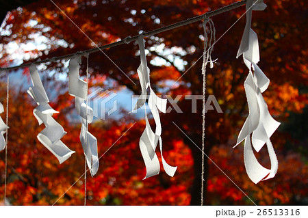 神社と紅葉 26513316