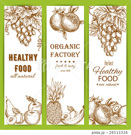Healthy natural organic fruit food sketch banners Healthy natural organic fruit food sketch banners 26513326
