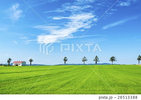 北海道 北の大地 メルヘンの丘 北海道 北の大地 メルヘンの丘 26513388