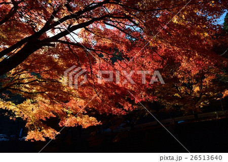 英彦山・高住神社の紅葉 英彦山・高住神社の紅葉 26513640