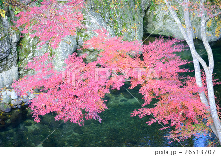 耶馬渓・猿飛の景 耶馬渓・猿飛の景 26513707