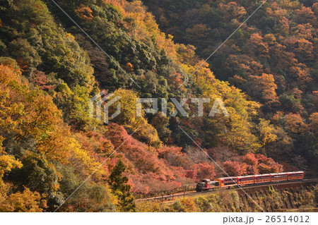 保津峡の紅葉とトロッコ列車の写真素材