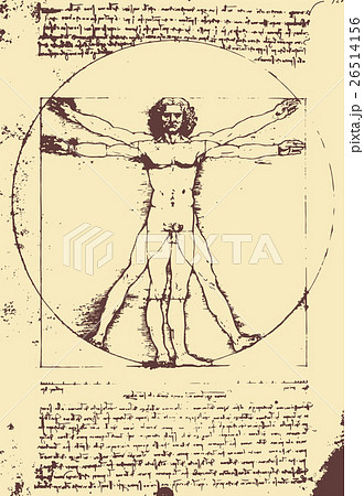 レオナルド ダ ヴィンチ 人体図イラストのイラスト素材