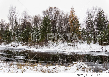 Winter. The river has not frozen, larch not reset 26514299
