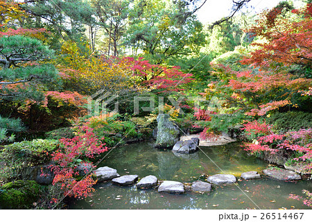 深山公園(岡山県玉野市) 深山公園(岡山県玉野市) 26514467