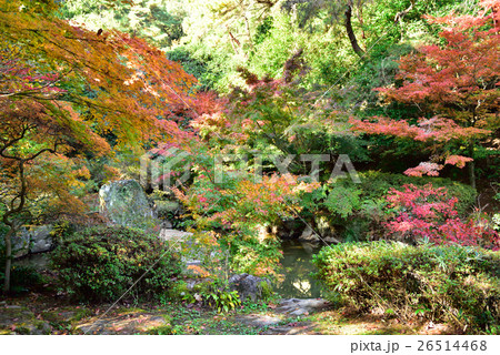 深山公園(岡山県玉野市) 深山公園(岡山県玉野市) 26514468