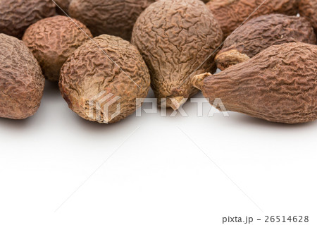 莫大（胖大海、莫大海）：poontalai (Sterculia lychnophora) 26514628