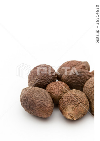 莫大（胖大海、莫大海）：poontalai (Sterculia lychnophora) 26514630