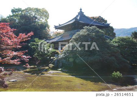 鹿王院の舎利殿と庭園（京都市右京区嵯峨北堀町） 26514651