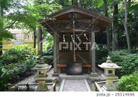 お鷹の道･真姿の池 湧水群（東京都国分寺市） 26514696