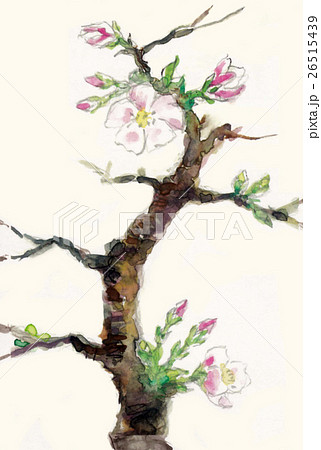 山桜 26515439