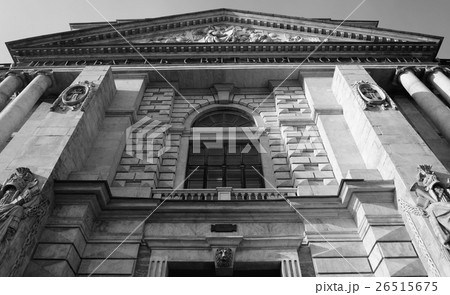 The Mikhailovsky Castle. 26515675