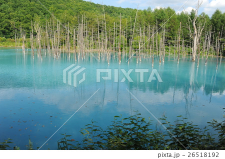 Blue Pond Japan Blue Pond Japan 26518192