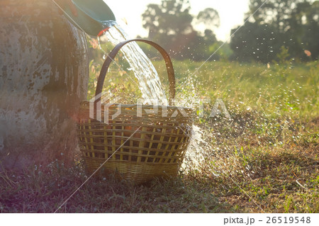 Pour the water from the bowl into the basket Pour the water from the bowl into the basket 26519548