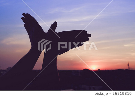 silhouette of a hand gesture like bird flying silhouette of a hand gesture like bird flying 26519816