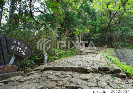 熊野古道 大門坂(世界遺産) 熊野古道 大門坂(世界遺産) 26520354