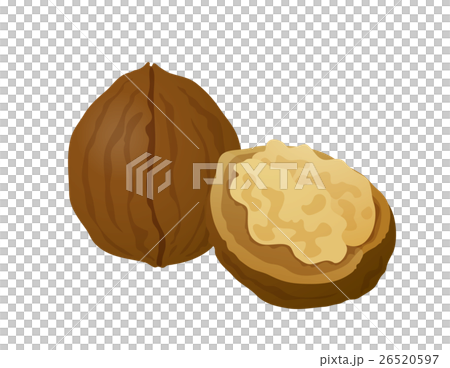 胡桃木 胡桃木 26520597