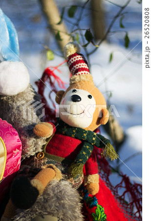 Teddy bear in the wood 26520808