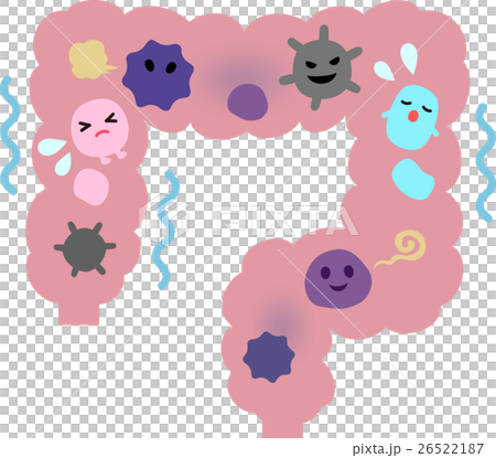 悪玉菌が活発な大腸のイメージ 悪玉菌が活発な大腸のイメージ 26522187