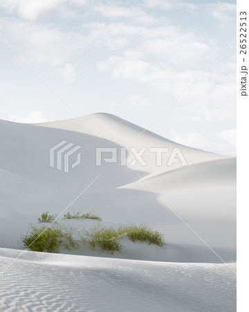 white dunes 26522513