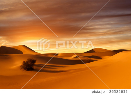 sunset dunes 26522635