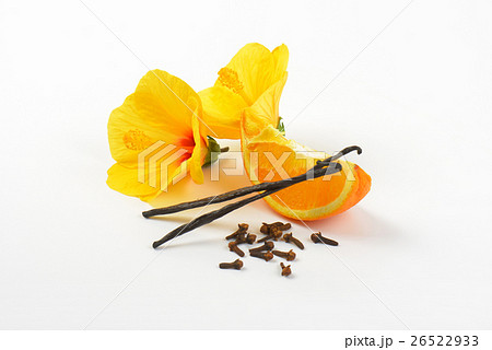 hibiscus, orange and spices 26522933