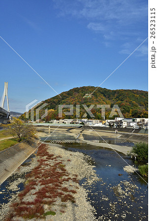 秋の猪名川　五月山 26523115