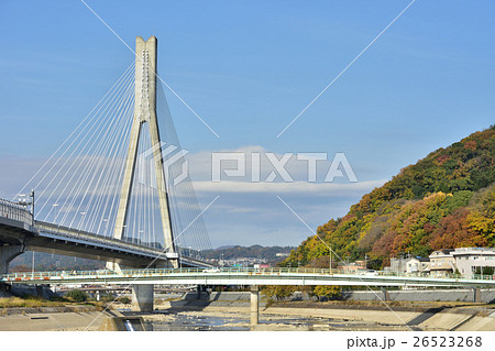 秋の猪名川　五月山 26523268