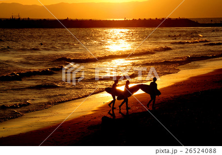 Sunset surfers 26524088