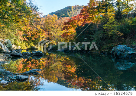 嵐山渓谷紅葉の写真素材