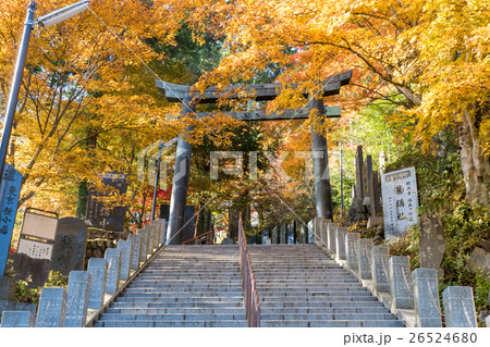 武蔵御嶽神社銅鳥居紅葉 26524680