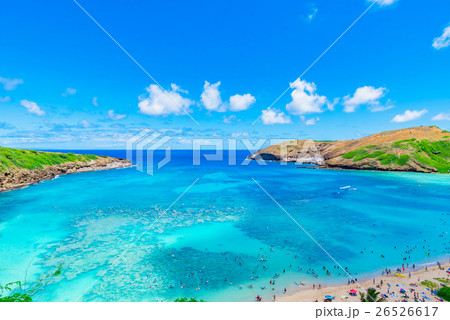 ハワイ ハナウマ湾 ハワイ ハナウマ湾 26526617
