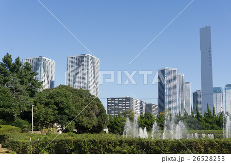 東京湾ベイエリア　晴海ふ頭公園 26528253