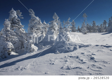 Winter in Japan. 26528520