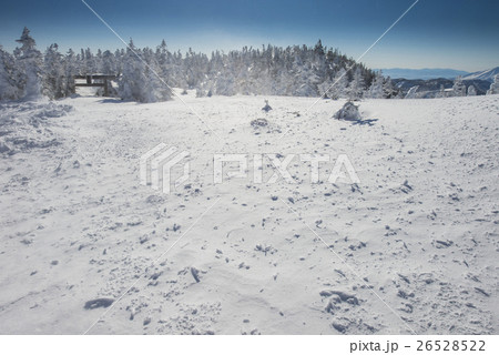 Winter in Japan. 26528522