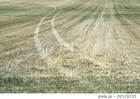 Rolling hills of the Tallgrass Prairie Rolling hills of the Tallgrass Prairie 26529235
