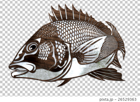 Fish illustration 26529363