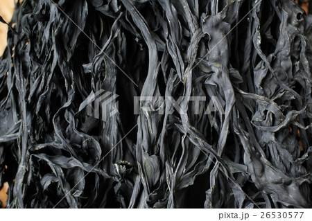 Dried seaweed 26530577