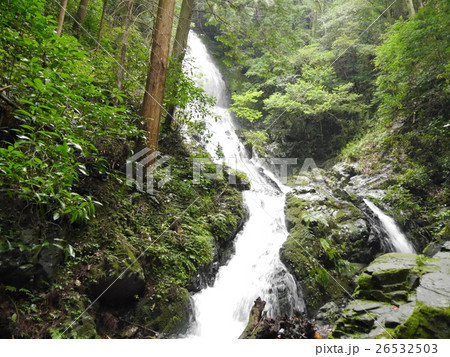 錦鶏の滝(雄滝) 26532503