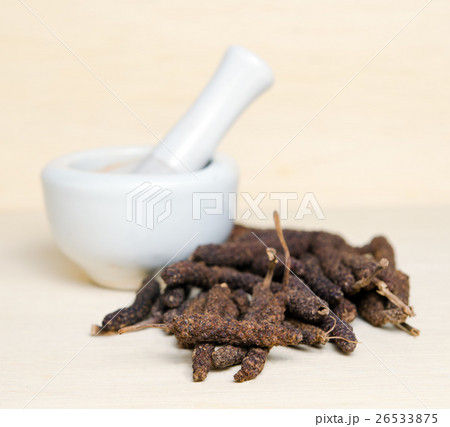 Long pepper or Pipli or Dipli (Piper longum) 26533875