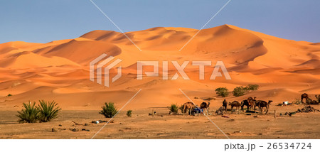 Stunning sand dunes of Merzouga 26534724