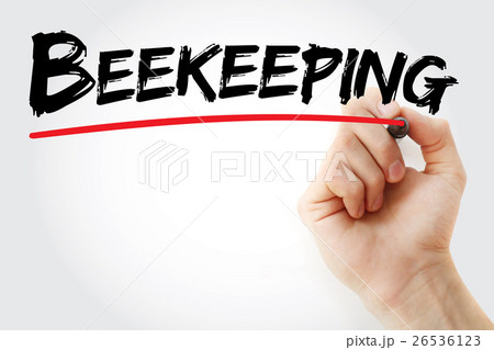 Hand writing Beekeeping with marker Hand writing Beekeeping with marker 26536123