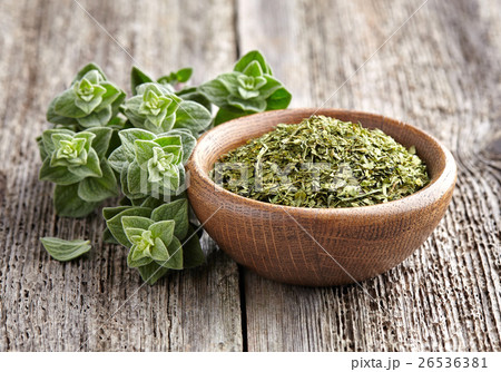 Oregano.Fresh and dry 26536381