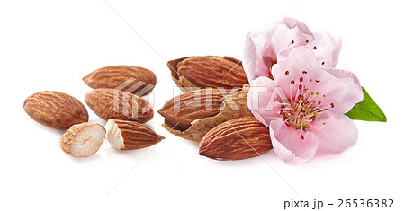 Almonds nuts with flowers 26536382