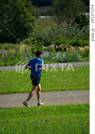 運動 ランニング 運動 ランニング 26537204