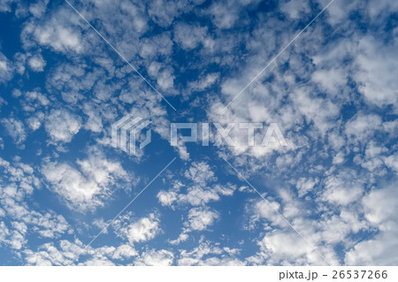 Cirrus clouds 26537266