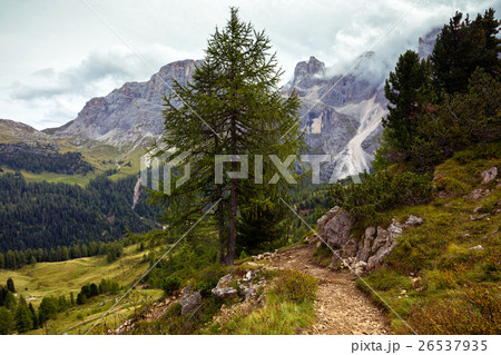 hiking trail in the mountains hiking trail in the mountains 26537935