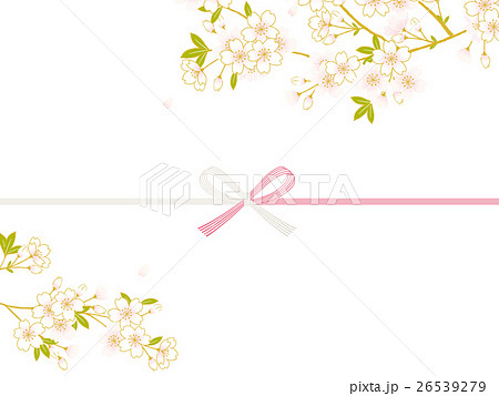 のし紙　桜 26539279